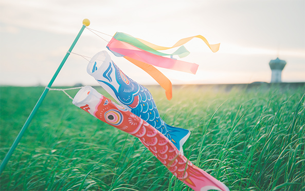 手工鯉魚(yú)旗