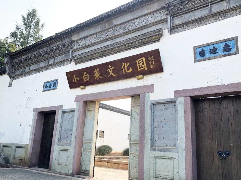 徐永革余杭小白菜文化園營銷經(jīng)理